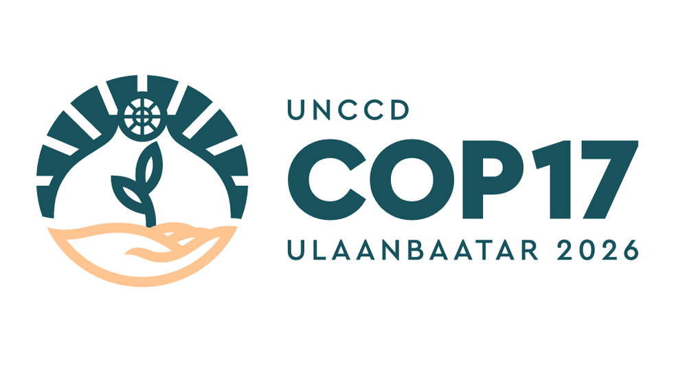 COP17 logo