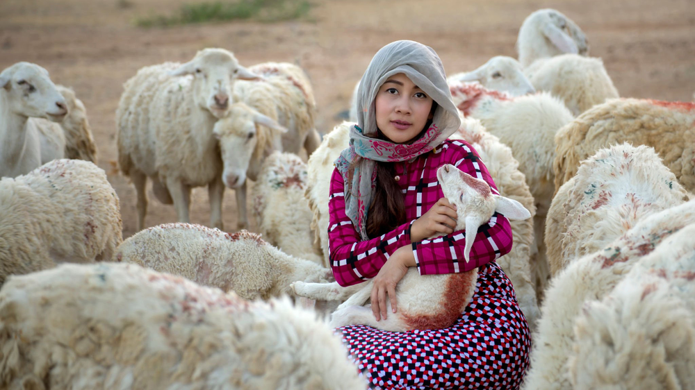 Woman with sheep
