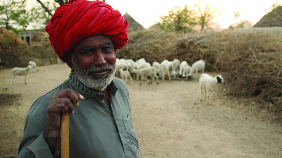 Pastoralist