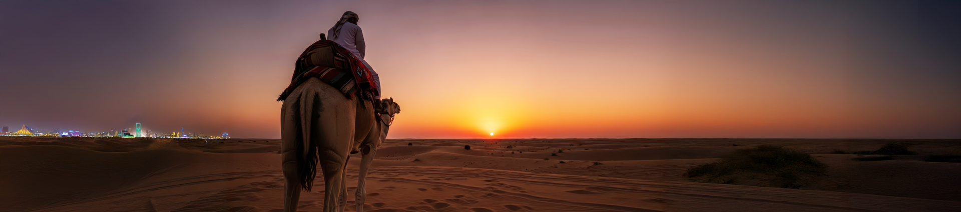 Camel in sunset