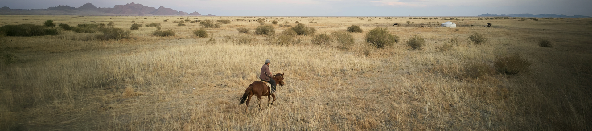 Man riding horse