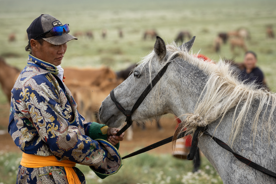 A nomad and his horse