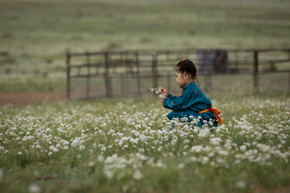 A child of a nomad family in a flower field