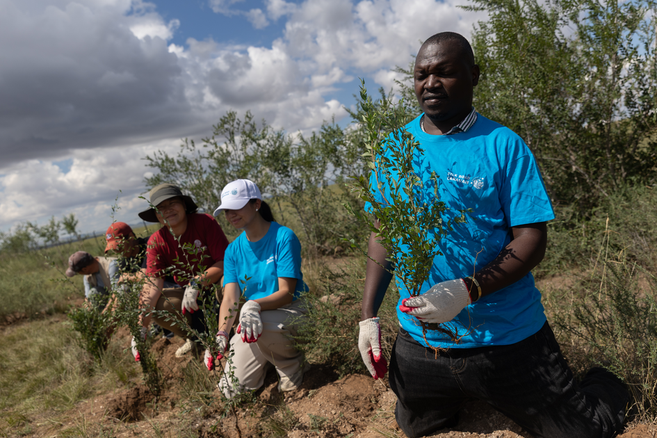 Planting new seedlings as part of Caravan journey