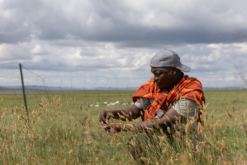 Soil challenges and soil solutions are universal